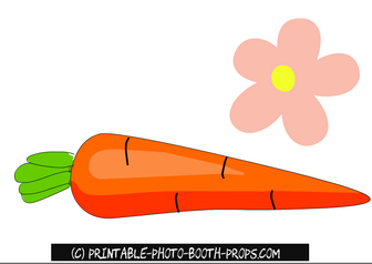 Carrot and Flower Props